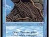 giant-tourtoise