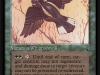 whippoorwill