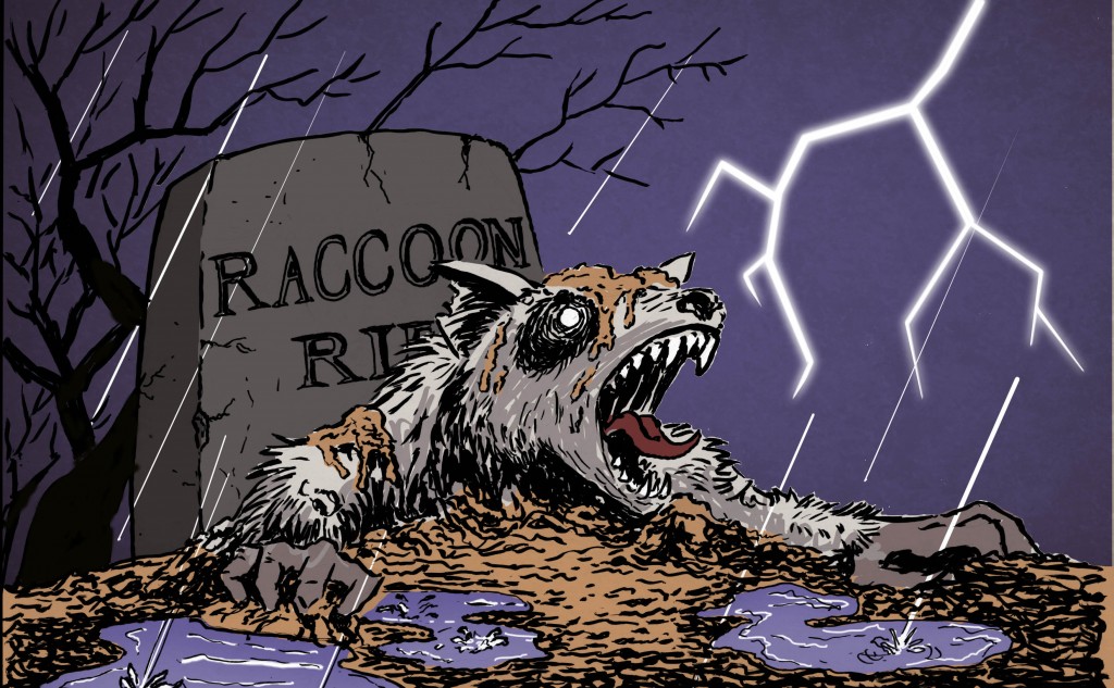 raccoon-ressurection raccoon-ressurection